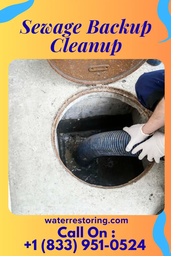 Sewage Backup Cleanup in Cushing, OK
